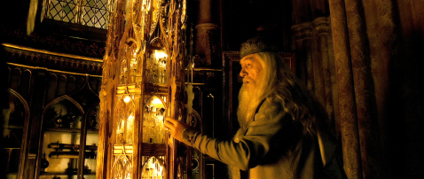  Dumbledore and Memories