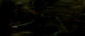 harry-potter - Half Blood Prince Trailer Screencaps screencap