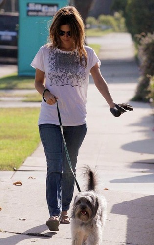 Rachel Walking Her Dogs