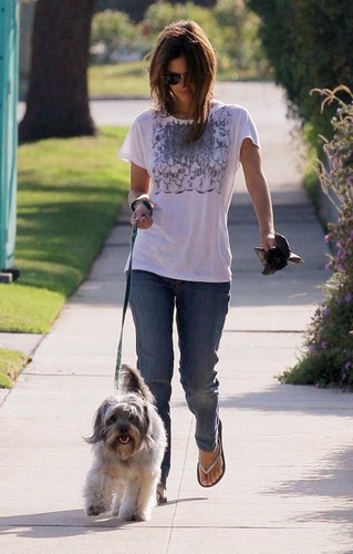  Rachel Walking Her perros