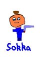 Sokka - avatar-the-last-airbender photo