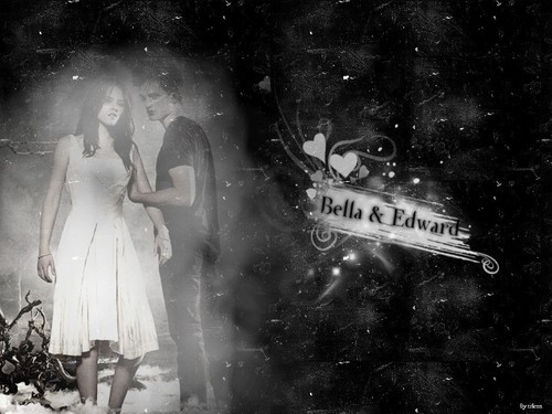  kertas dinding Edward and Bella