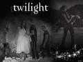 Wallpaper Twilight - twilight-series wallpaper