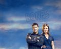 bones - Booth & Bones wallpaper
