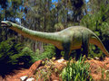 dinosaurs - Brontosaurus wallpaper
