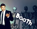 bones - Seeley Booth wallpaper