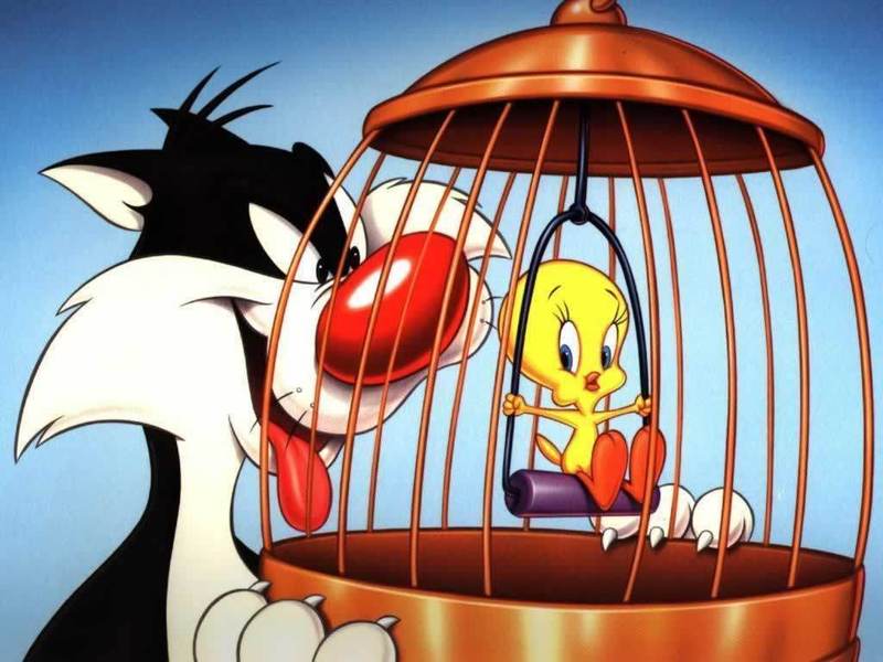 wallpapers looney tunes. Sylvester & Tweety - Looney Tunes Wallpaper (1990597) - Fanpop