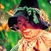 The Wizard of Oz - musicals icon
