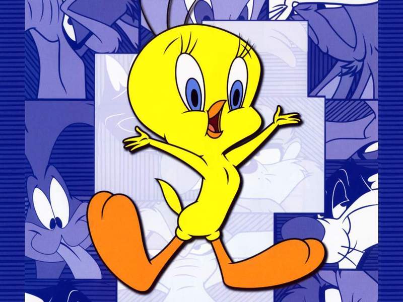 looney toons wallpaper. Tweety - Looney Tunes