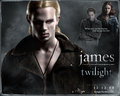 Twilight Movie - twilight-series wallpaper