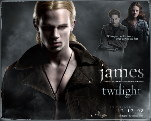 Twilight - der Film