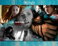twilight-series - Twilight wallpaper