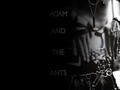 adam-ant - Adam Ant wallpaper