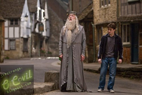  Harry and Dumbledore