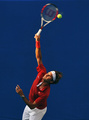 Roger Federer  - tennis photo