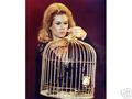 Samantha and the Crow - bewitched photo