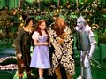 The Wizard of Oz - the-wizard-of-oz screencap