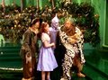 The Wizard of Oz - the-wizard-of-oz screencap