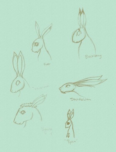 Watership Down Sketches by d-fly