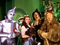 Wizard of Oz Caps - the-wizard-of-oz screencap