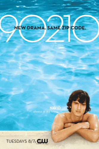  90210 pool promos