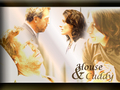house-md - House and Cuddy wallpaper