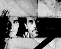 house-md - House and Wilson wallpaper
