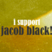 Jacob/Taylor Icons - twilight-series icon