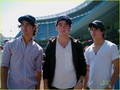 Jonas Brothers @ Yankee Stadium - the-jonas-brothers photo