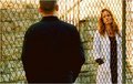 Michael & Sara - prison-break fan art