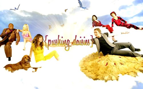  Season 2 Cast Hintergrund