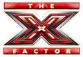 The X Factor  - the-x-factor photo