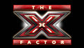 The X Factor  - the-x-factor photo