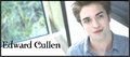Twilight - Edward Cullen - twilight-series fan art