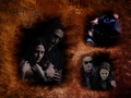 twilight-series - Twilight - Wallpaper wallpaper