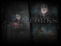 twilight-series - forks 2 wallpaper