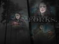 twilight-series - forks wallpaper