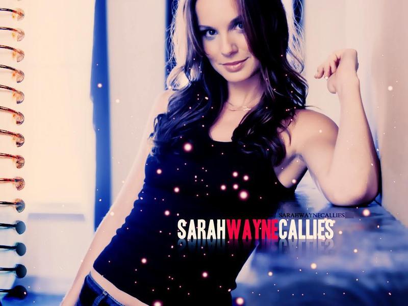 sarah wayne callies wallpaper. sarah - Sarah Wayne Callies