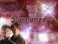 spn - supernatural wallpaper