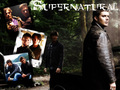 supernatural - spn wallpaper