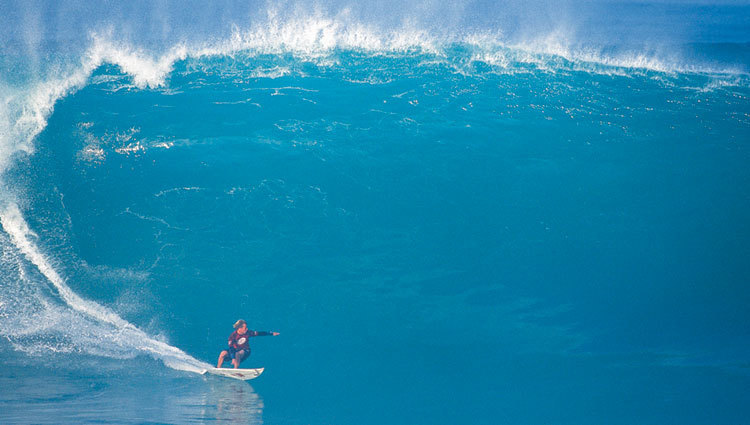 surfs up - Surfing Photo (2116046) - Fanpop
