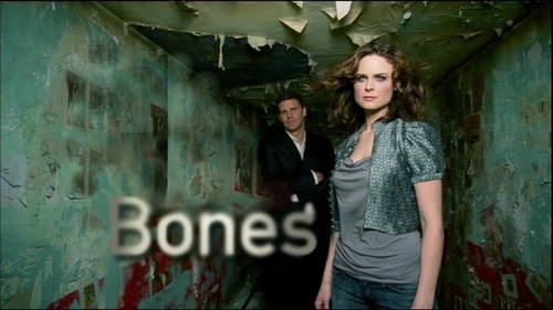  Bones new season