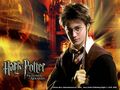 Harry Potter - harry-potter-movies photo