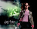 Harry Potter - harry-potter-movies photo