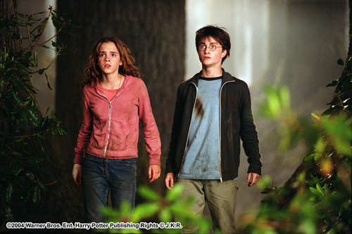 harry e hermione