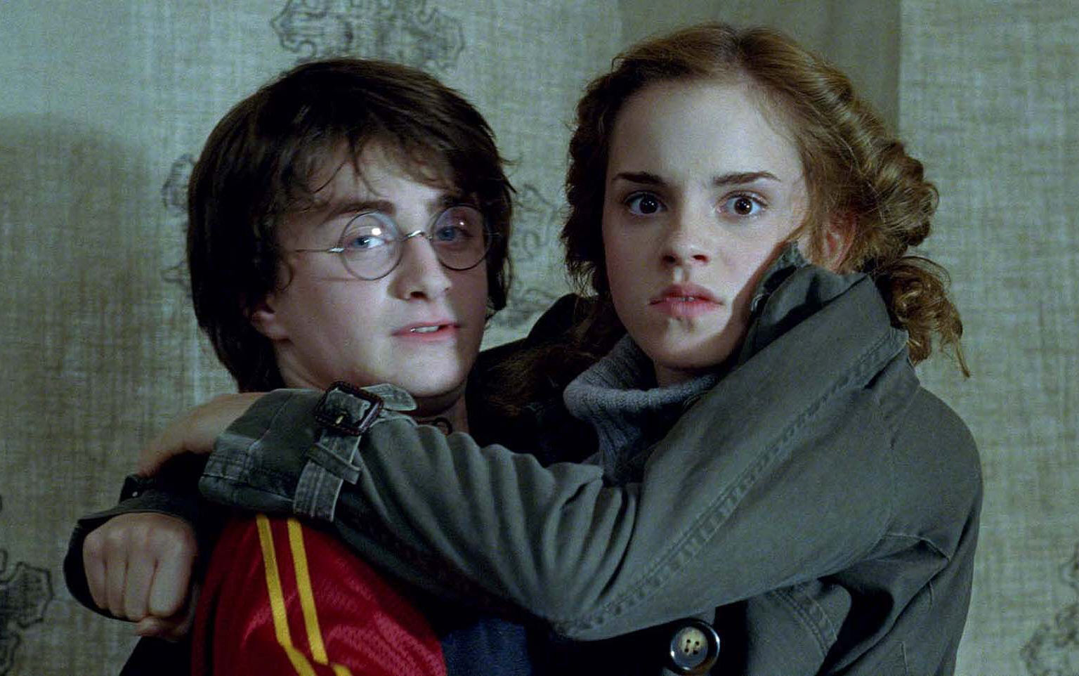 Harry And Hermione Harry Potter Photo 2255068 Fanpop