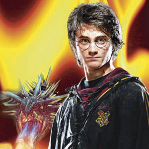  Harry and the dragon