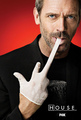 House Season 5 New Poster - house-md photo