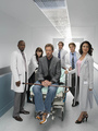 House md cast - house-md photo