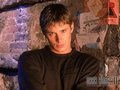 Jensen/Alec(Dark Angel) - jensen-ackles wallpaper